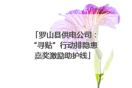 罗山县供电公司：“寻贴”行动排隐患 嘉奖激励助护线