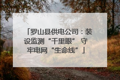 罗山县供电公司：装设监测“千里眼” 守牢电网“生命线”
