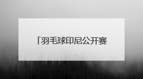 羽毛球印尼公开赛｜王祉怡不敌安洗莹 获得女单亚军