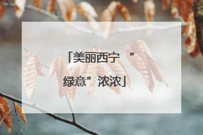 美丽西宁 “绿意”浓浓