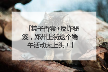 粽子香囊+反诈秘笈，郑州上街这个端午活动太上头！