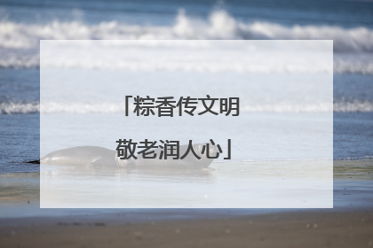 粽香传文明 敬老润人心