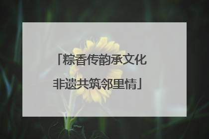 粽香传韵承文化 非遗共筑邻里情