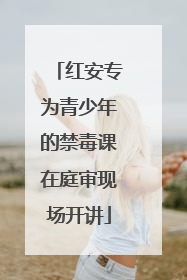 红安专为青少年的禁毒课在庭审现场开讲