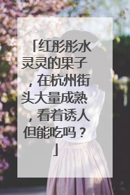 红彤彤水灵灵的果子，在杭州街头大量成熟，看着诱人但能吃吗？