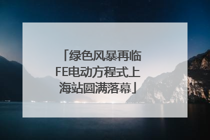 绿色风暴再临 FE电动方程式上海站圆满落幕