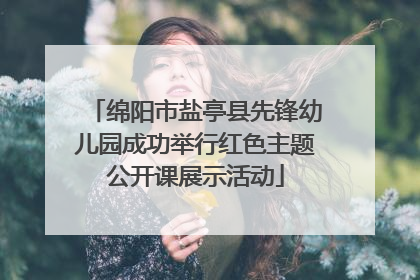 绵阳市盐亭县先锋幼儿园成功举行红色主题公开课展示活动