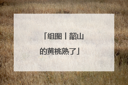 组图丨韶山的黄桃熟了