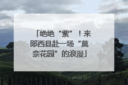 绝绝“紫”！来郧西县赴一场“莫奈花园”的浪漫