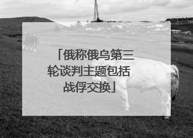 俄称俄乌第三轮谈判主题包括战俘交换