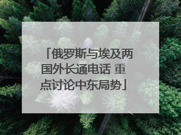 俄罗斯与埃及两国外长通电话 重点讨论中东局势