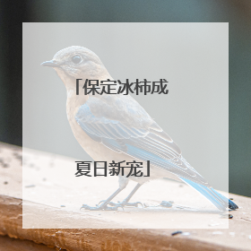 保定冰柿成夏日新宠