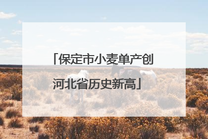 保定市小麦单产创河北省历史新高