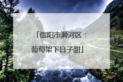 信阳市浉河区：葡萄架下日子甜