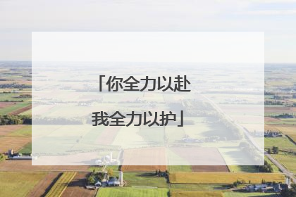 你全力以赴 我全力以护