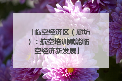 临空经济区（廊坊）：航空培训赋能临空经济新发展