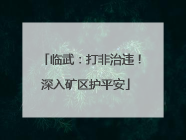 临武：打非治违！深入矿区护平安