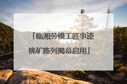 临湘劳模工匠事迹桃矿陈列揭幕启用