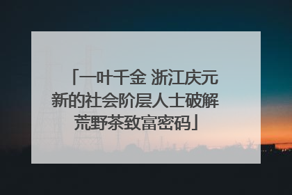 一叶千金 浙江庆元新的社会阶层人士破解荒野茶致富密码
