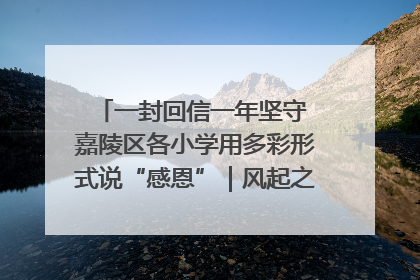一封回信一年坚守 嘉陵区各小学用多彩形式说“感恩”｜风起之江 扶摇直上
