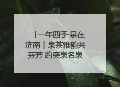 一年四季·泉在济南｜泉茶雅韵共芬芳 趵突泉名泉茗茶品鉴会举行