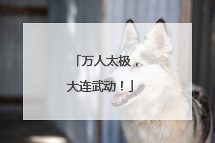万人太极，大连武动！