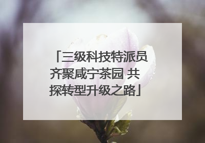 三级科技特派员齐聚咸宁茶园 共探转型升级之路