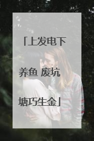 上发电下养鱼 废坑塘巧生金