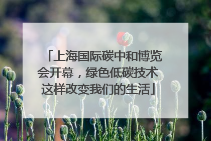 上海国际碳中和博览会开幕，绿色低碳技术这样改变我们的生活