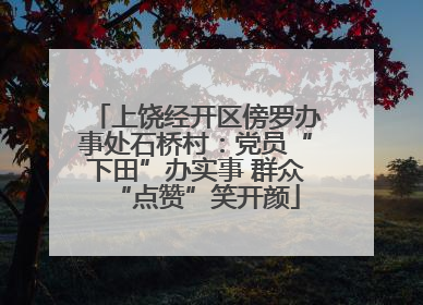 上饶经开区傍罗办事处石桥村：党员“下田”办实事 群众“点赞”笑开颜