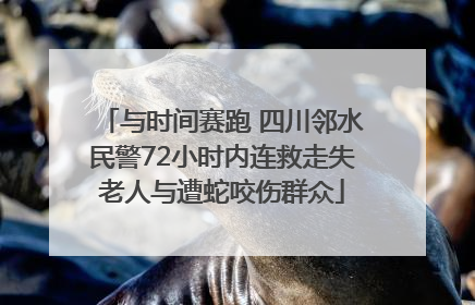 与时间赛跑 四川邻水民警72小时内连救走失老人与遭蛇咬伤群众