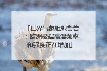 世界气象组织警告：欧洲极端高温频率和强度正在增加