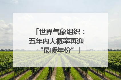 世界气象组织：五年内大概率再迎“最暖年份”
