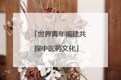 世界青年福建共探中医药文化