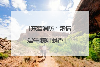 东营消防：浓情端午 粽叶飘香