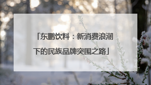 东鹏饮料：新消费浪潮下的民族品牌突围之路