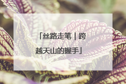 丝路走笔｜跨越天山的握手
