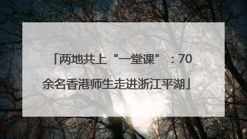 两地共上“一堂课”：70余名香港师生走进浙江平湖