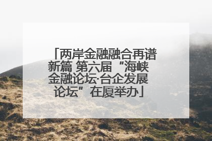 两岸金融融合再谱新篇 第六届“海峡金融论坛·台企发展论坛”在厦举办