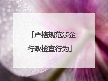 严格规范涉企行政检查行为