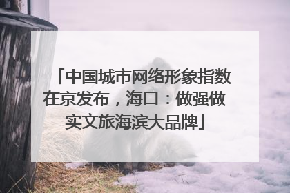 中国城市网络形象指数在京发布，海口：做强做实文旅海滨大品牌
