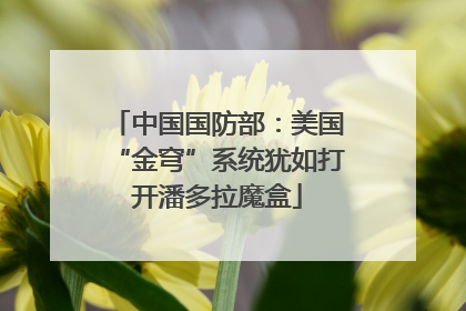 中国国防部：美国“金穹”系统犹如打开潘多拉魔盒