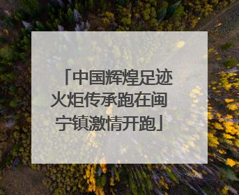 中国辉煌足迹火炬传承跑在闽宁镇激情开跑