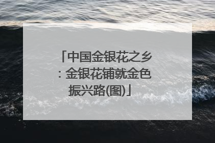 中国金银花之乡：金银花铺就金色振兴路(图)