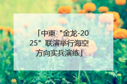 中柬“金龙-2025”联演举行海空方向实兵演练