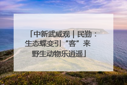 中新武威观｜民勤：生态蝶变引“客”来 野生动物乐逍遥
