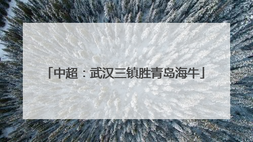 中超：武汉三镇胜青岛海牛