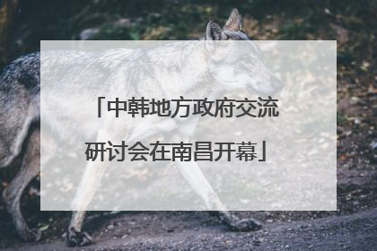 中韩地方政府交流研讨会在南昌开幕
