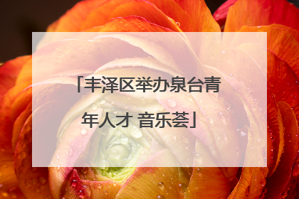 丰泽区举办泉台青年人才 音乐荟