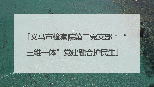 义马市检察院第二党支部：“三维一体”党建融合护民生